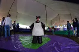Sumo Panda - Pelotinas Factory