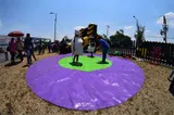 Sumo Panda - Pelotinas Factory